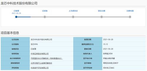 龍芯中科IPO獲受理，擬募資35億元強化芯片研發與網絡安全軟件布局